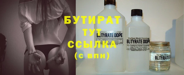 шишки Аркадак