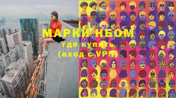 шишки Аркадак