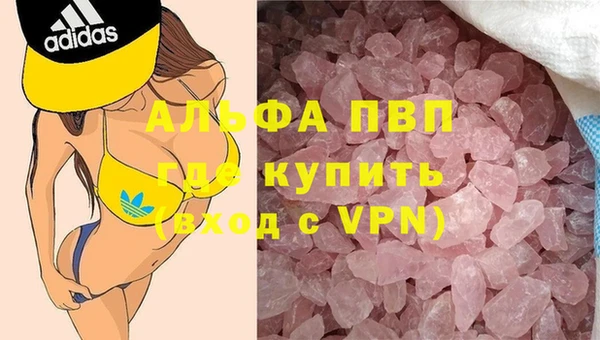 шишки Аркадак