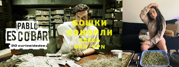 шишки Аркадак