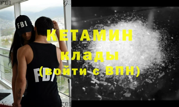 шишки Аркадак