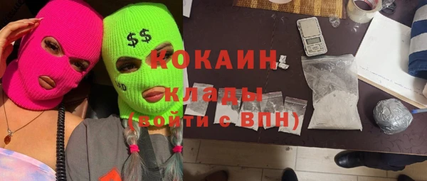 шишки Аркадак