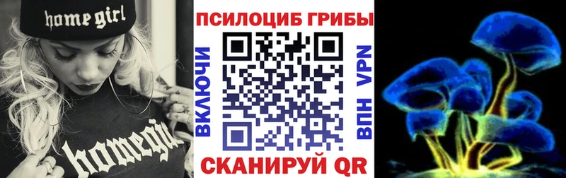 как найти наркотики  Сенгилей  гидра онион  Псилоцибиновые грибы ЛСД 